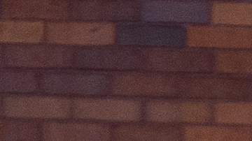 La solicitante de asilo fue acusada por poner en peligro el bienestar de un niño y de ponerlo en peligro imprudente.