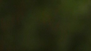 Katy Perry se une a la lista de propietarios en el lujoso Sierra Towers.