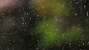 COLOMBIA-HEALTH-VIRUS-PRISON