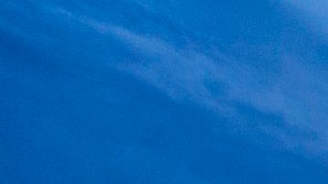 Disney cancela proyecto de $1,000 millones de dólares en Lake Nona.