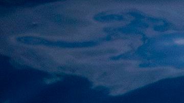 Un tiburón tigre atacó al kayakista.