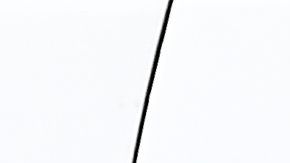 Adolescente es arrestado luego de haber amenazado con iniciar un tiroteo masivo en Florido