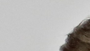 Jared Kushner e Ivanka Trump están más cerca de mudarse a su gran mansión.