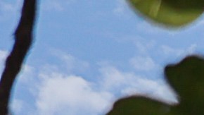 El agente de 33 años que descargó el "táser" ha sido suspendido e imputado con varios delitos.