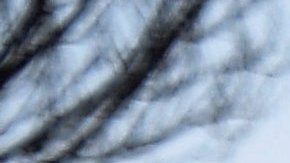 Grupo Wagner asegura que podría permanecer en Bakhmut, Ucrania