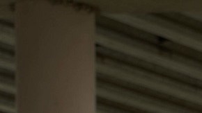 La Patrulla Fronteriza  tendrá apoyo de 1,500 militares más en la frontera.