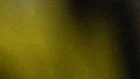 La cocaína se descubrió en un cargamento de bananas.