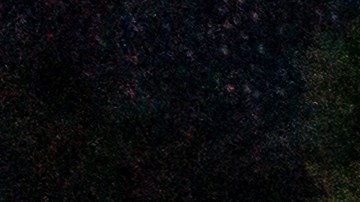 Viajar hacinados dentro de tráileres es una de las formas más peligrosas que usan los migrantes para cruzar clandestinamente a Estados Unidos.