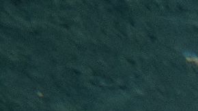 Mary fue sacrificada compasivamente.