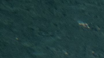 Mary fue sacrificada compasivamente.