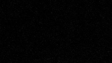 Un caimán fue captado en una tubería gracias a una cámara a control remoto.