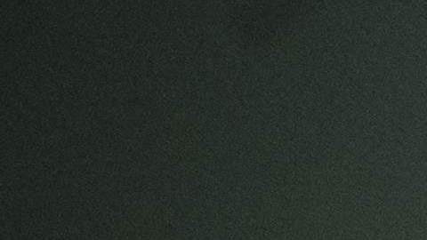 La ballena beluga Hvaldimir fue vista en Suecia.