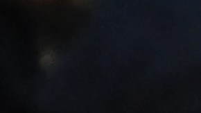 David Beckham expresó su apoyo a los Tigres.