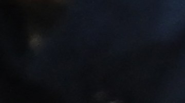 David Beckham expresó su apoyo a los Tigres.