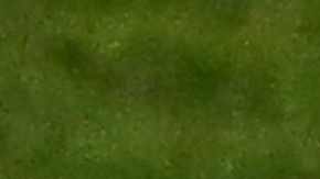 La selección de Estados Unidos tiene nuevo técnico interino.