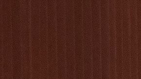 El próximo 11 de mayo se pondrá fin al Título 42