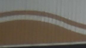 Trabajadores de Corea del Norte protestando en una asamblea.