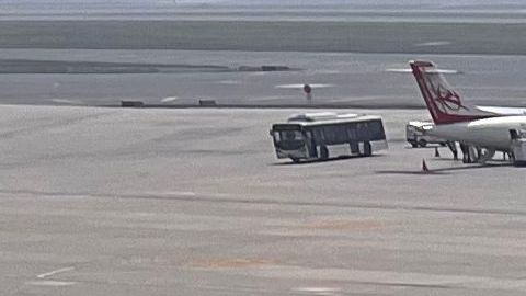 El avión de Air India fue fumigado posteriormente.