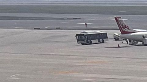 El avión de Air India fue fumigado posteriormente.