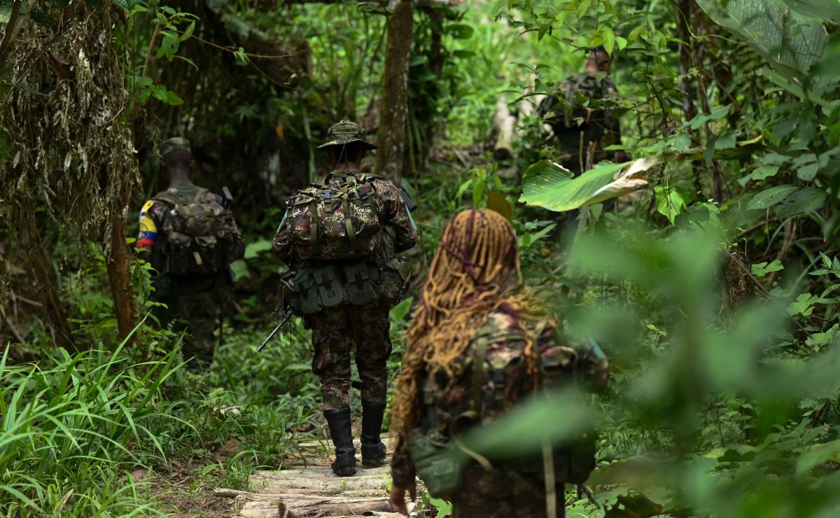 Disidencia de las FARC amenaza elecciones regionales en Colombia - El ...