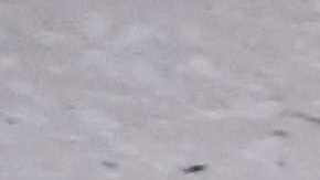 Un hombre se habría enfermado tras abrir una tumba egipcia.