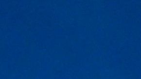 Un coche llegó a la puerta de Santa Ana del Vaticano.