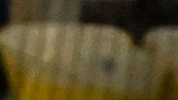 El nuevo estratega llega con el objetivo de ganar más partidos.