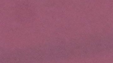 Novak Djokovic buscará el cuarto US Open de su carrera.