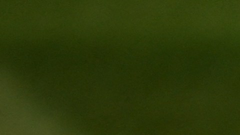 El delantero argentino está en la búsqueda de un nuevo club.