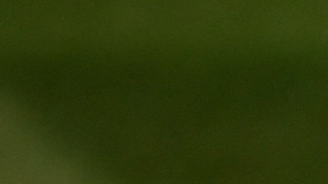 El delantero argentino está en la búsqueda de un nuevo club.