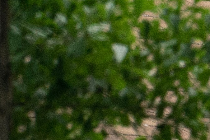 CLEVELAND, TX - APRIL 29: Law enforcement respond to a crime scene where five people, including an 8-year-old child, were killed after a shooting inside a home on April 29, 2023 in Cleveland, Texas. The alleged gunman, who is not yet in custody, used an AR-15 style rifle to shoot his neighbors which also left at least three others injured. (Photo by Go Nakamura/Getty Images)

