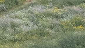 Frontera México - Estados Unidos.