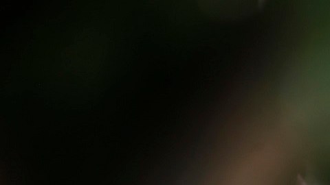 El tiroteo ocurrido el sábado en Allen, Texas, dejó ocho muertos.