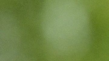 El delantero agradeció la oportunidad que tuvo en Cruz Azul.