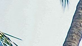 Accidente de bote en India.