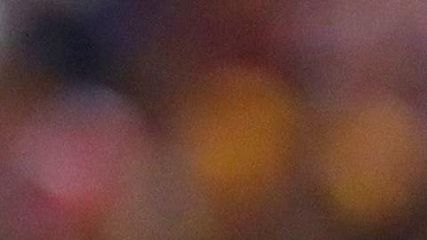 El jugador se fue de viaje por la Riviera Maya tras la eliminación del América.