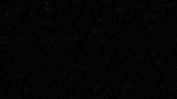 Si se implementara el veto, las exportaciones hacia Rusia se reducirían en un 67%.