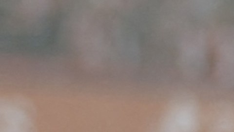 Santiago Giménez con el Feyenoord.