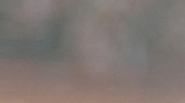 Santiago Giménez es campeón de la Eredivisie.