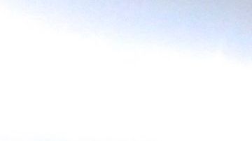 La estampida dejó 12 personas fallecidas.