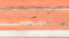 El equipo terminó perdiendo el encuentro 2-1 ante la selección de Nigeria.