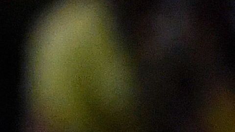 El jugador azulcrema se ha convertido en una de las piezas más valiosas del equipo.