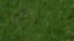 El Sevilla le envió un lindo mensaje a Sergio Rico.