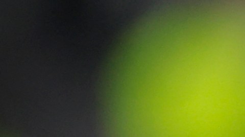 José Mourinho se remuve la medalla de plata del cuello tras caer en la final de la Europa League en penales ante Sevilla.