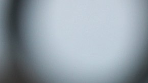 Policía fue acusado de filtrar información de arresto a ex líder hispano de los Proud Boys