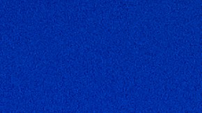 Former President Trump Joins TX Gov. Abbott At Unfinished Border Wall