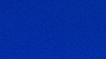 Former President Trump Joins TX Gov. Abbott At Unfinished Border Wall