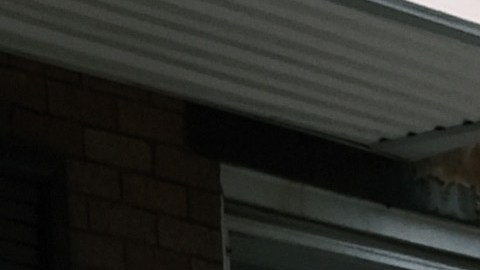 Los funcionarios de la policía registraron la casa y encontraron el trapeador en el sótano con "un tinte rojizo".