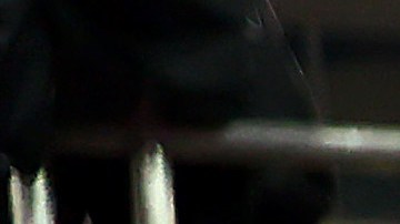 Max Verstappen celebra con su equipo de Red Bull y con Masashi Yamamoto, jefe de Honda en F1.