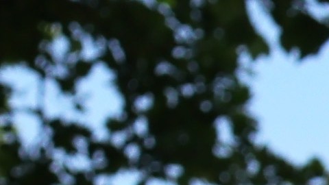 Si las restricciones se levantan permitirá que los recipientes de DACA en ciertos estados del país tengan acceso a Medicaid.